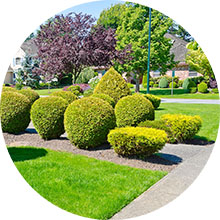 commercial-landscaping